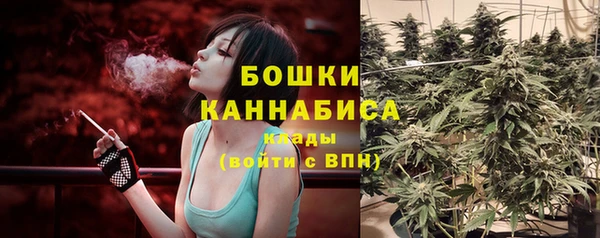 мяу мяу мука Кодинск