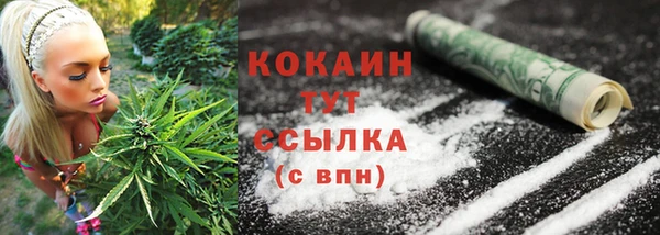 мяу мяу мука Кодинск